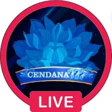 Cara Update Aplikasi cendana777 ke Versi Terbaru APK Resmi — ikon aplikasi
